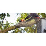 Tree Service LLC - Landscape Architects in Biloxi