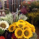 Discount Building Materials - Other in Clarksdale