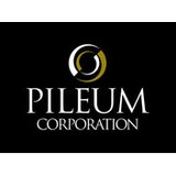 Pileum Corp - Business Consulting in Jackson