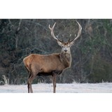 Long Branch Creek Farm LLC - Other in Carriere