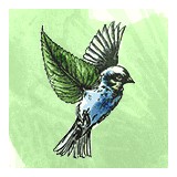 Landscape Design Studio LLC - Landscaping in Madison