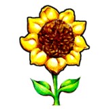 Southern Exposure LLC - Other in Bay Saint Louis