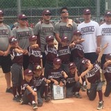 Paws Paws Camper City Inc - Other in Picayune