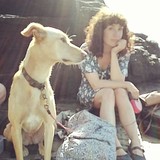 Moon Pie Designs - Other in McComb