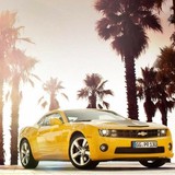 All Star Chevrolet - Car Dealers in Olive Branch