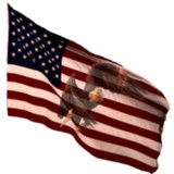 Bay Technical Assoc - Manufacturer in Long Beach