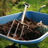 Brister's Precision Lawn Care - Lawn Services in Madison