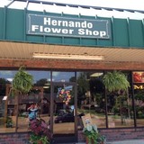 Hernando Flower Shop - Other in Hernando