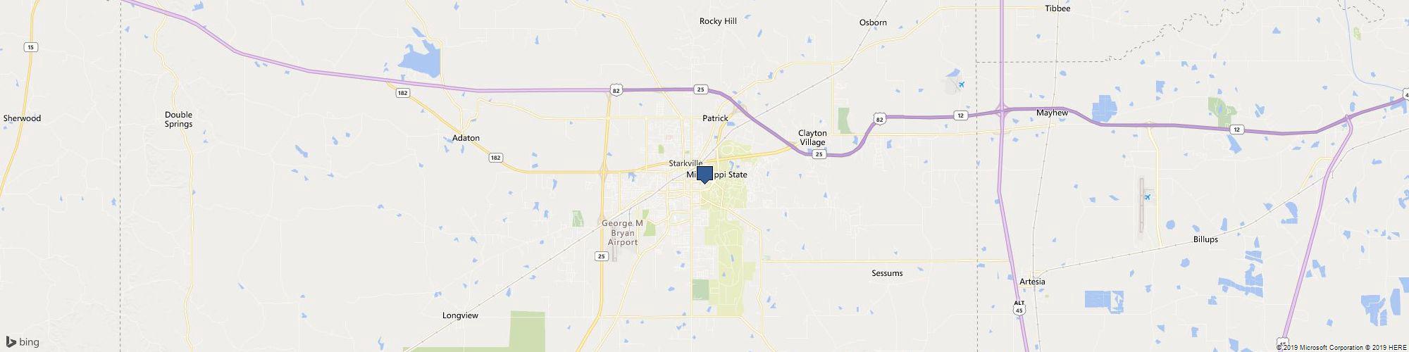 Mississippi State University cover photo