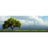 Cypress Brake Landscape Consulting - Other in Shannon