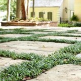 Hopping's Landscape - Landscaping in Jackson