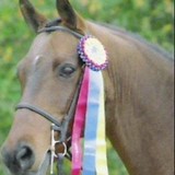 Oak View Stables - Other in Olive Branch