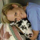 Pet Depot - Pet Groomers in Madison