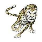 Keith's Super Store - Other in Ellisville