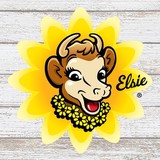 Borden Dairy CO of Alabama - Other in Poplarville