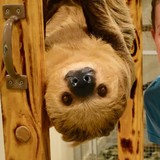 Hattiesburg Zoo - Botanical Gardens in Hattiesburg