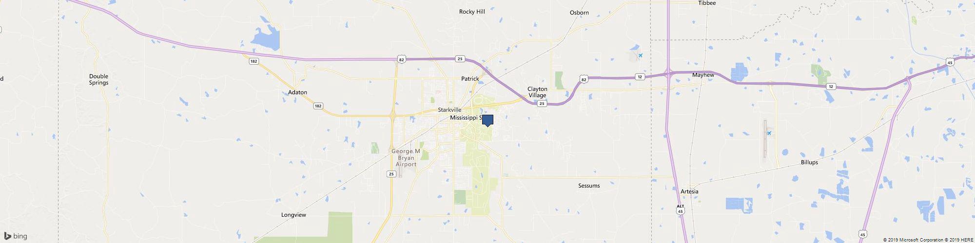 Mississippi State University cover photo