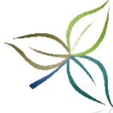 Demey David DC - Chiropractors in Helena