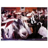 Amaltheia Dairy LLC - Other in Belgrade