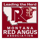 Rock Creek Red Angus - Other in Joliet