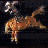 Sankey Rodeo Co - Other in Joliet