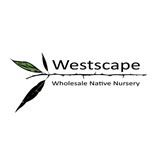Westscape Wholesale Nursery - Other in Belgrade