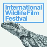 International Wildlife Film - Business Consulting in Missoula