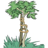 Moore Orthopedatrics pa - Orthopedic in Wilmington