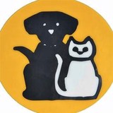 West Market Veterinary Hosp - Animal Hospitals in Greensboro