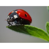 Target Exterminators - Pest Control in Salisbury