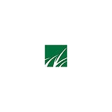 Brassfield Realty - Other in Franklinton