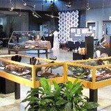 Tryon Arts & Crafts Inc - Other in Tryon