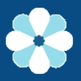 Brolin Chiropractic - Chiropractors in Cary