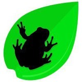 Tree Frog Nursery - Other in Rougemont