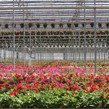 Rockwell Farms - Other in Rockwell