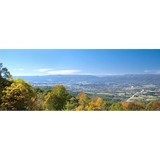 Benefit Solutions - Insurance in Asheville