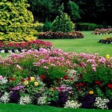 Cecilio Landscaping - Landscaping in Graham