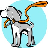 Charlotte Dog Walking | Customized Pet Care | Suburban Hound - Pet Sitting in Charlotte