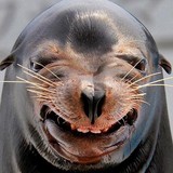 Geoff Westphal - Drywall Installation & Repair in Connelly Springs