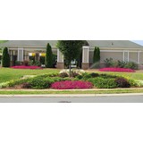 Green Earth Landscaping Inc - Landscaping in Monroe