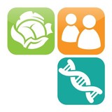 Healthy Diets LLC - Dietitians in Raleigh