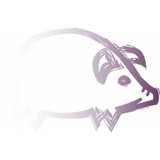 Purple Pig Graphics Inc - Graphic Design in Denver