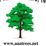 A Afordable & Available Tree - Tree Services in Charlotte