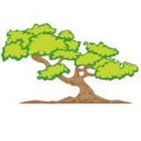 Just My Style Landscape Service - Landscape Architects in Apex