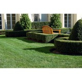 Blade Cutters Inc - Landscape Architects in Raleigh