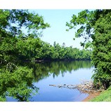 Applied Resource Management - Other in Hampstead