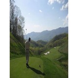 Balsam Mountain Preserve LLC - Other in Sylva
