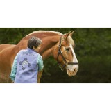 Equinection - Other in Green Mountain