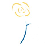 Carpe Diem Cleaning - Cleaning Services in Durham