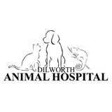 Dilworth Animal Hospital - Veterinarians/Vets in Charlotte